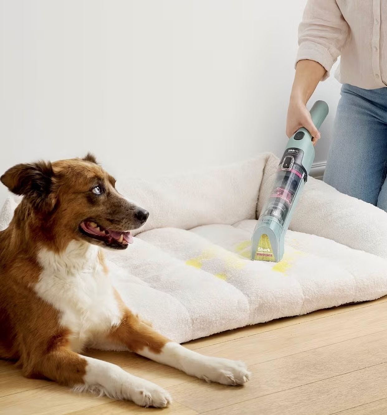A person using a compact cleaning tool on a pet bed beside a dog, shown as a product illustration in the source upholstery-cleaner comparison.