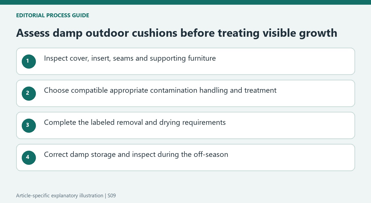 Assess damp outdoor cushions before treating visible growth