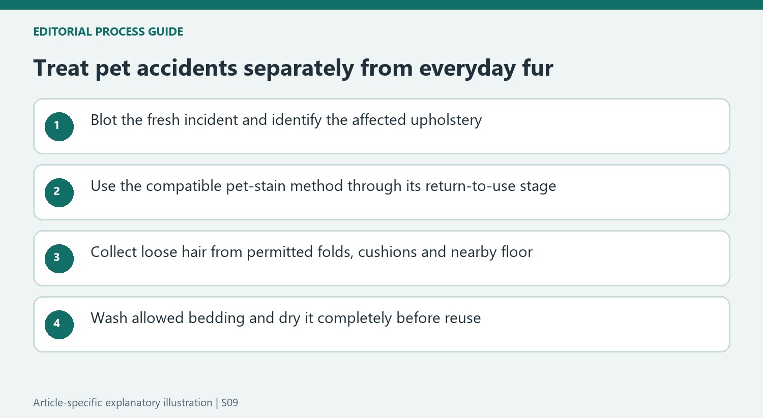 Treat pet accidents separately from everyday fur