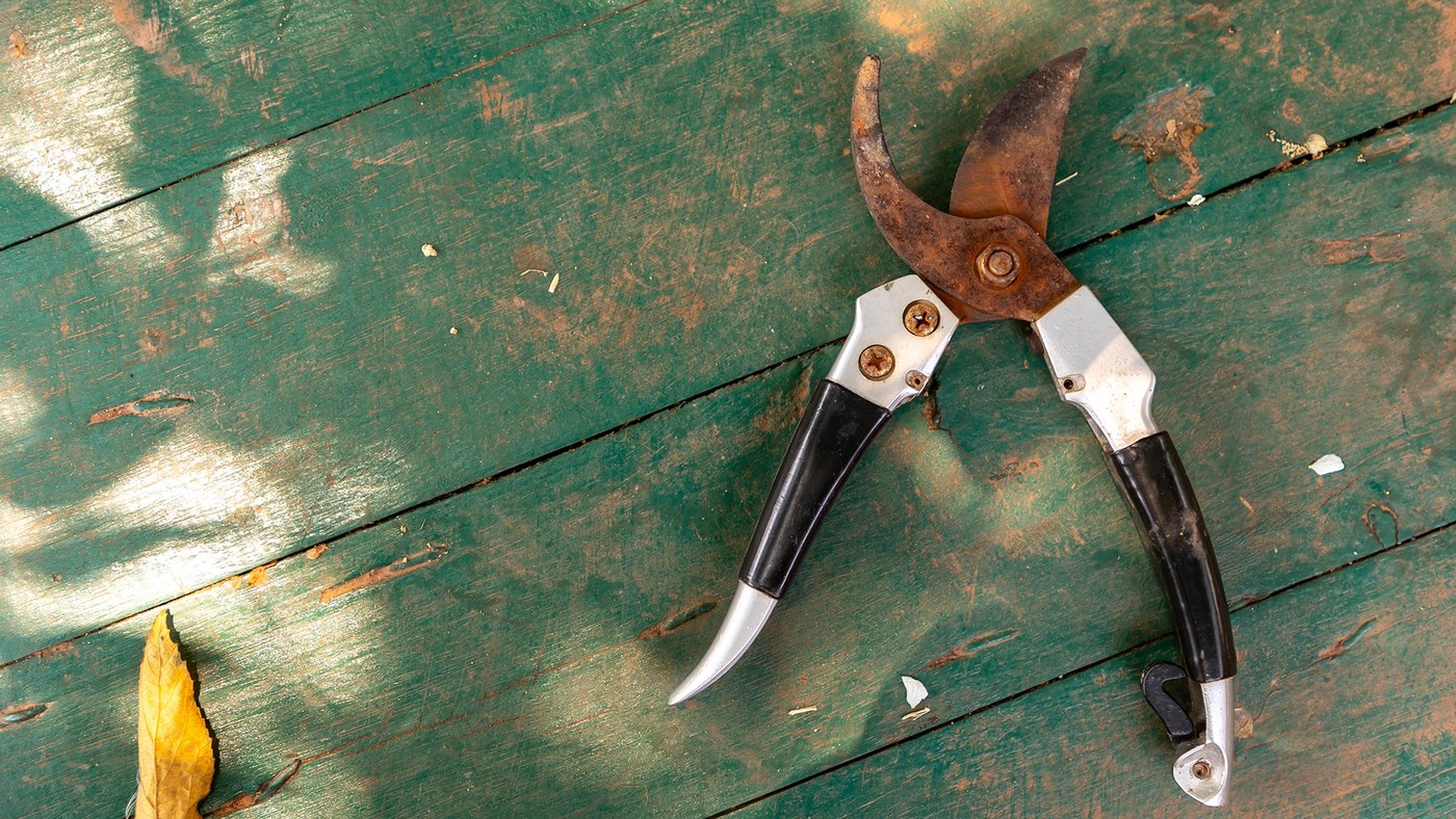 Inspect Metal Garden Tools before the Growing Season
