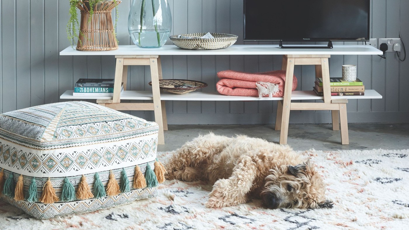 Handle Pet Accidents and Loose Fur as Different Upholstery Jobs